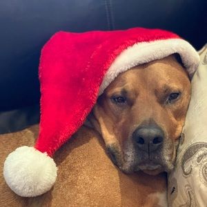 Meet your Posher, Philip